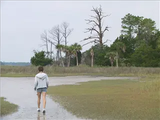 small_021019 hilton headIMG_9106.webp